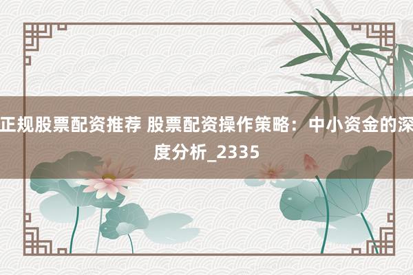 正规股票配资推荐 股票配资操作策略：中小资金的深度分析_2335