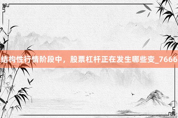 结构性行情阶段中，股票杠杆正在发生哪些变_7666