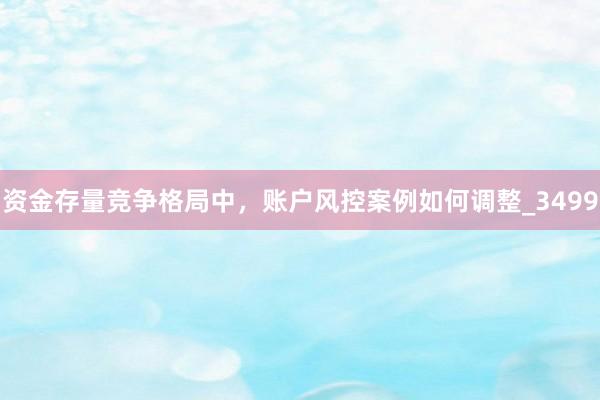 资金存量竞争格局中，账户风控案例如何调整_3499