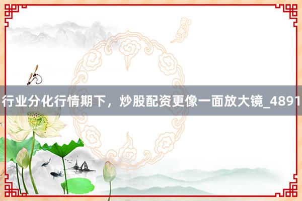 行业分化行情期下，炒股配资更像一面放大镜_4891