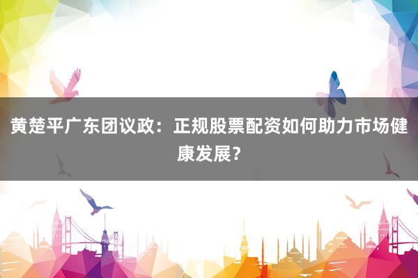 黄楚平广东团议政：正规股票配资如何助力市场健康发展？