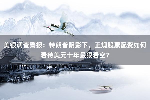 美银调查警报：特朗普阴影下，正规股票配资如何看待美元十年最狠看空？