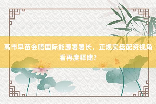 高市早苗会晤国际能源署署长，正规实盘配资视角看再度释储？