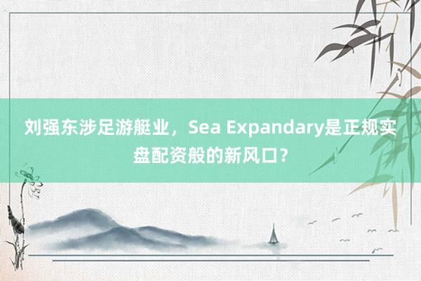 刘强东涉足游艇业，Sea Expandary是正规实盘配资般的新风口？