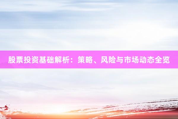 股票投资基础解析：策略、风险与市场动态全览