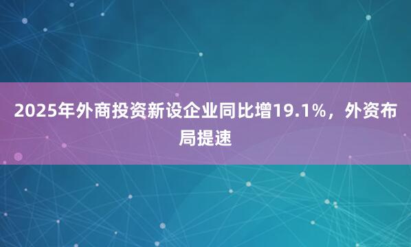 2025年外商投资新设企业同比增19.1%，外资布局提速