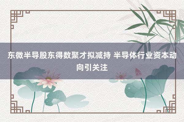 东微半导股东得数聚才拟减持 半导体行业资本动向引关注