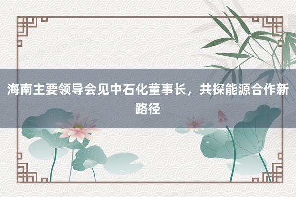 海南主要领导会见中石化董事长,共探能源合作新路径