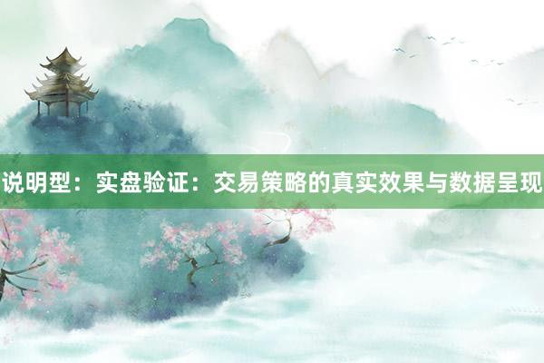 说明型：实盘验证：交易策略的真实效果与数据呈现