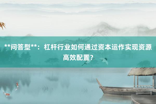 **问答型**：杠杆行业如何通过资本运作实现资源高效配置？