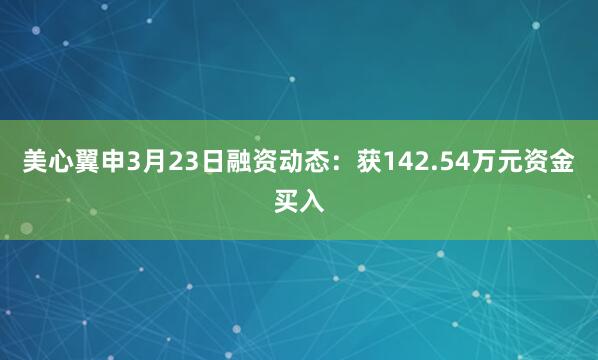 美心翼申3月23日融资动态：获142.54万元资金买入