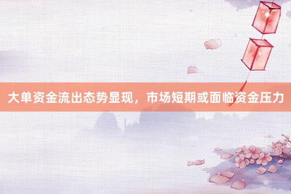 大单资金流出态势显现，市场短期或面临资金压力