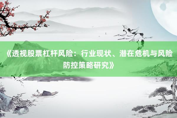 《透视股票杠杆风险：行业现状、潜在危机与风险防控策略研究》