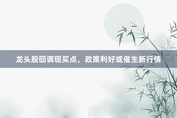 龙头股回调现买点，政策利好或催生新行情