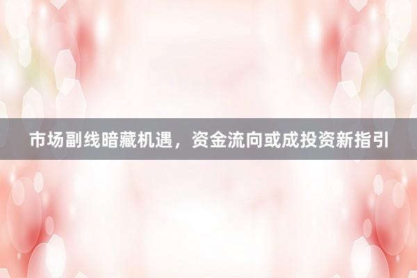 市场副线暗藏机遇，资金流向或成投资新指引