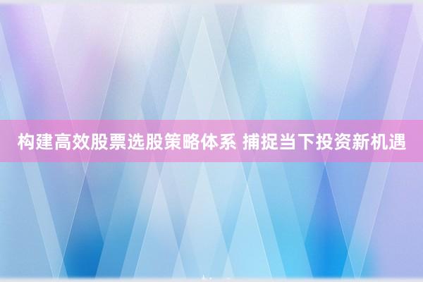 构建高效股票选股策略体系 捕捉当下投资新机遇