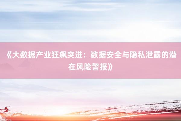 《大数据产业狂飙突进：数据安全与隐私泄露的潜在风险警报》