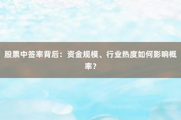 股票中签率背后：资金规模、行业热度如何影响概率？