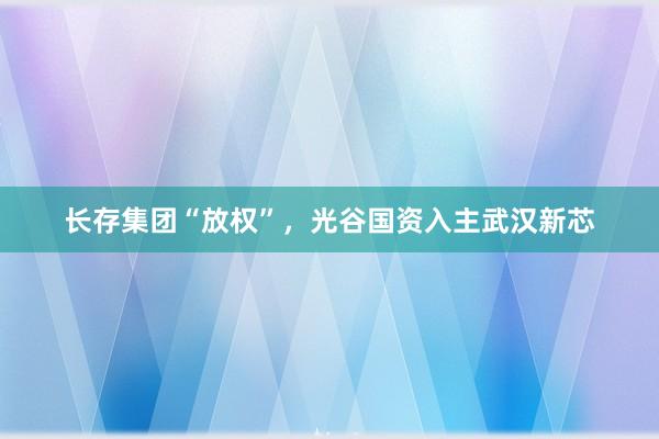 长存集团“放权”，光谷国资入主武汉新芯