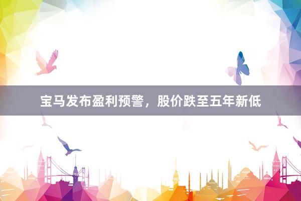 宝马发布盈利预警，股价跌至五年新低
