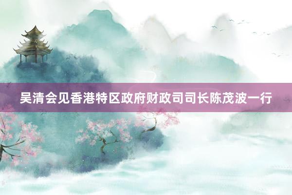 吴清会见香港特区政府财政司司长陈茂波一行