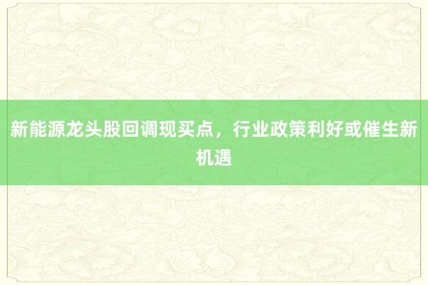 新能源龙头股回调现买点，行业政策利好或催生新机遇