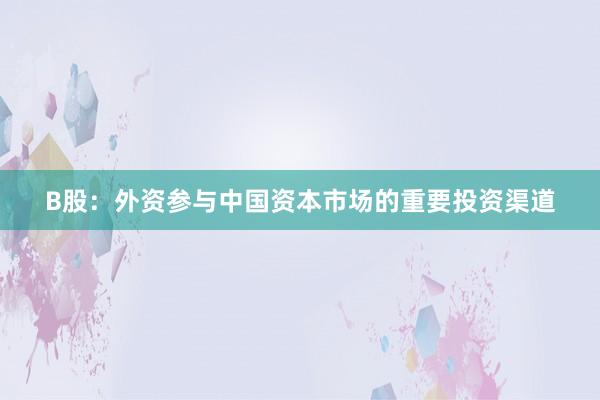 B股：外资参与中国资本市场的重要投资渠道