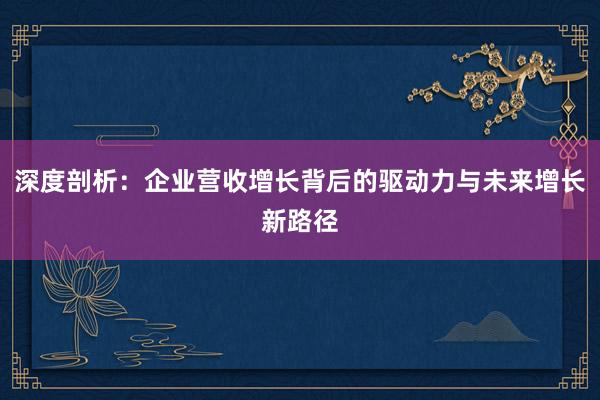 深度剖析：企业营收增长背后的驱动力与未来增长新路径