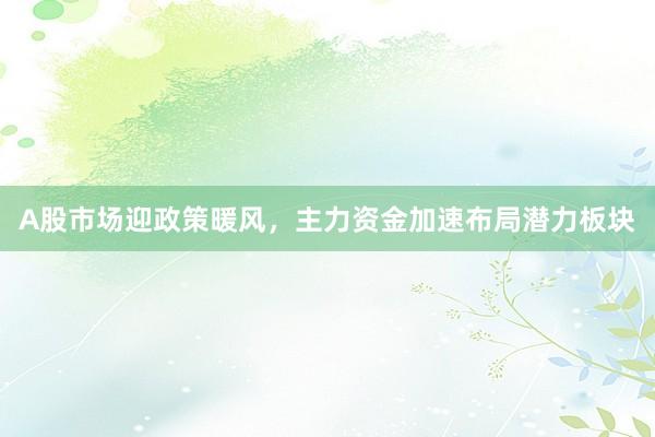 A股市场迎政策暖风，主力资金加速布局潜力板块