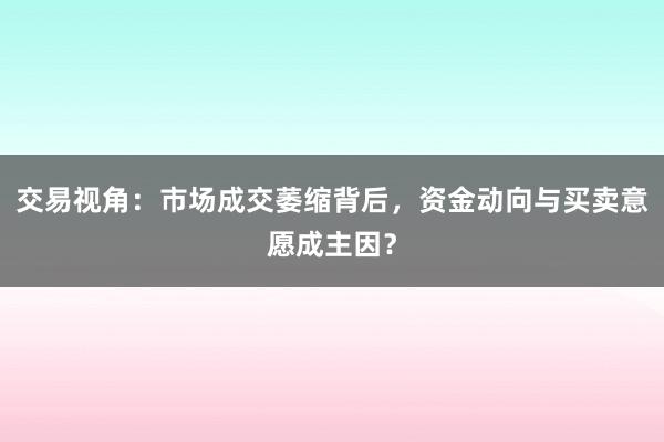 交易视角：市场成交萎缩背后，资金动向与买卖意愿成主因？