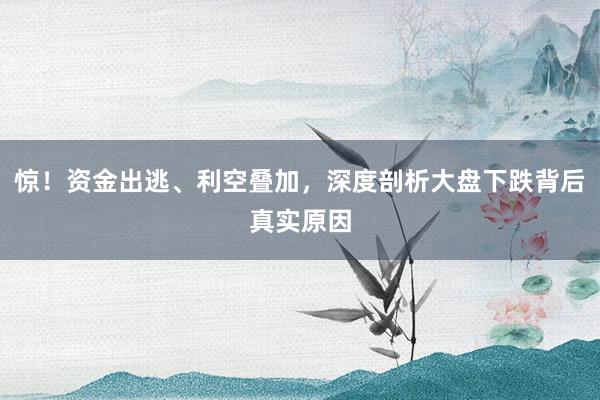 惊！资金出逃、利空叠加，深度剖析大盘下跌背后真实原因