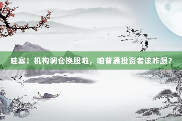 哇塞！机构调仓换股啦，咱普通投资者该咋跟？