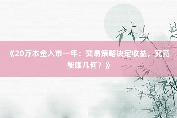 《20万本金入市一年：交易策略决定收益，究竟能赚几何？》