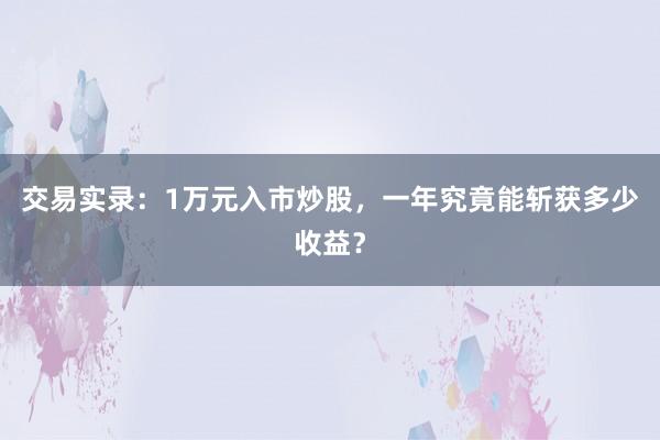 交易实录：1万元入市炒股，一年究竟能斩获多少收益？