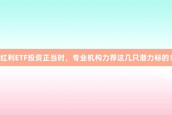 红利ETF投资正当时，专业机构力荐这几只潜力标的！