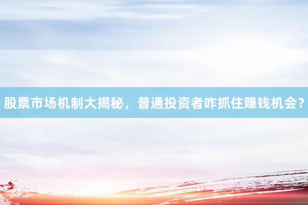 股票市场机制大揭秘，普通投资者咋抓住赚钱机会？