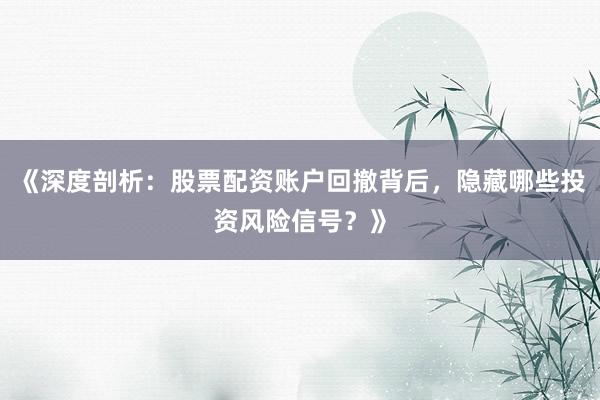 《深度剖析：股票配资账户回撤背后，隐藏哪些投资风险信号？》