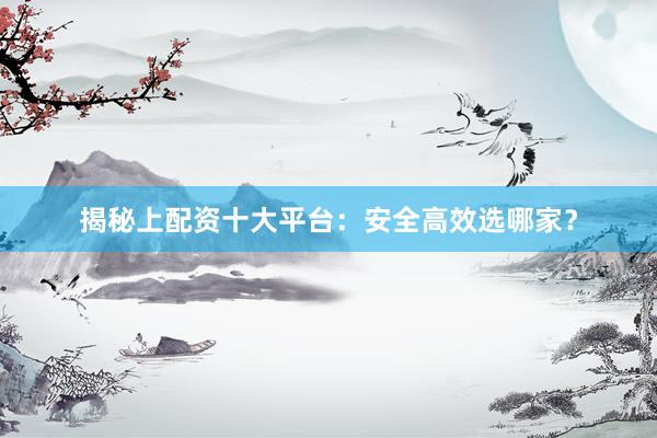 揭秘上配资十大平台：安全高效选哪家？