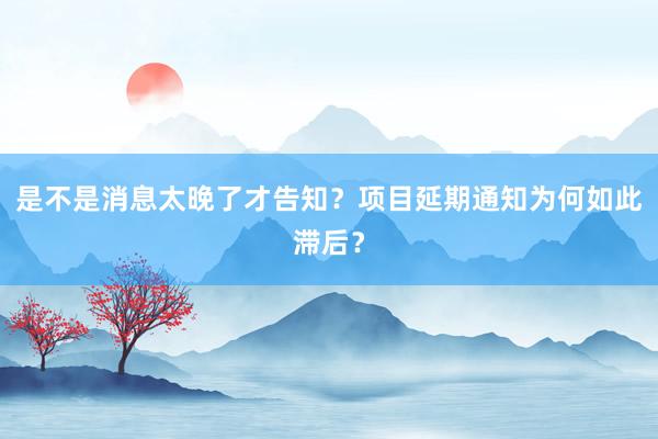 是不是消息太晚了才告知?项目延期通知为何如此滞后?